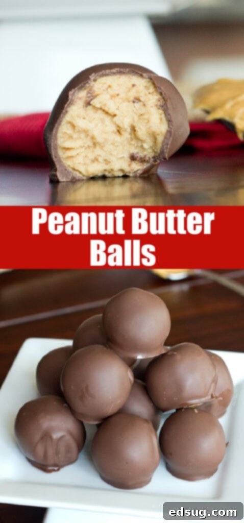 Peanut Butter Chocolate Truffles 2 Close-up view of a perfectly dipped peanut butter chocolate ball, showcasing the rich chocolate coating and smooth peanut butter filling.