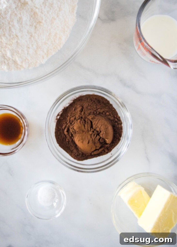 No-Fuss Chocolate Frosting 3 chocolate buttercream frosting ingredients laid out