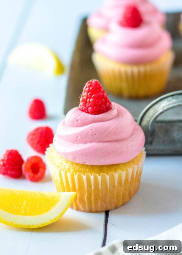 lemon cupcakes with raspberry frosting with a slice of lemon next to it, showcasing a vibrant dessert