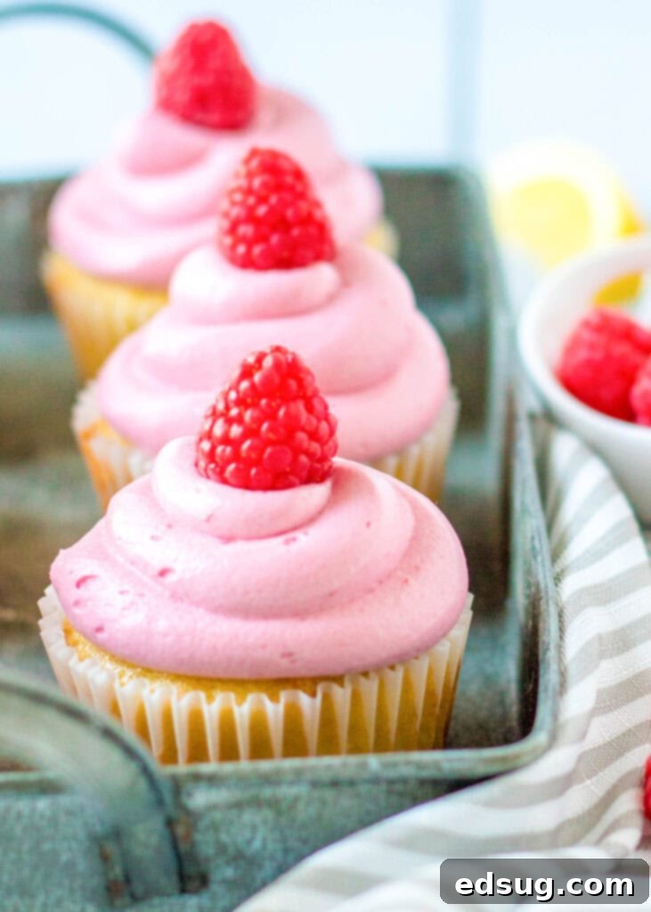 close up of beautifully frosted lemon raspberry cupcakes, showing the vibrant colors