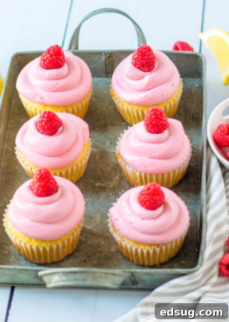 lemon cupcakes with raspberry frosting arranged on a serving tray