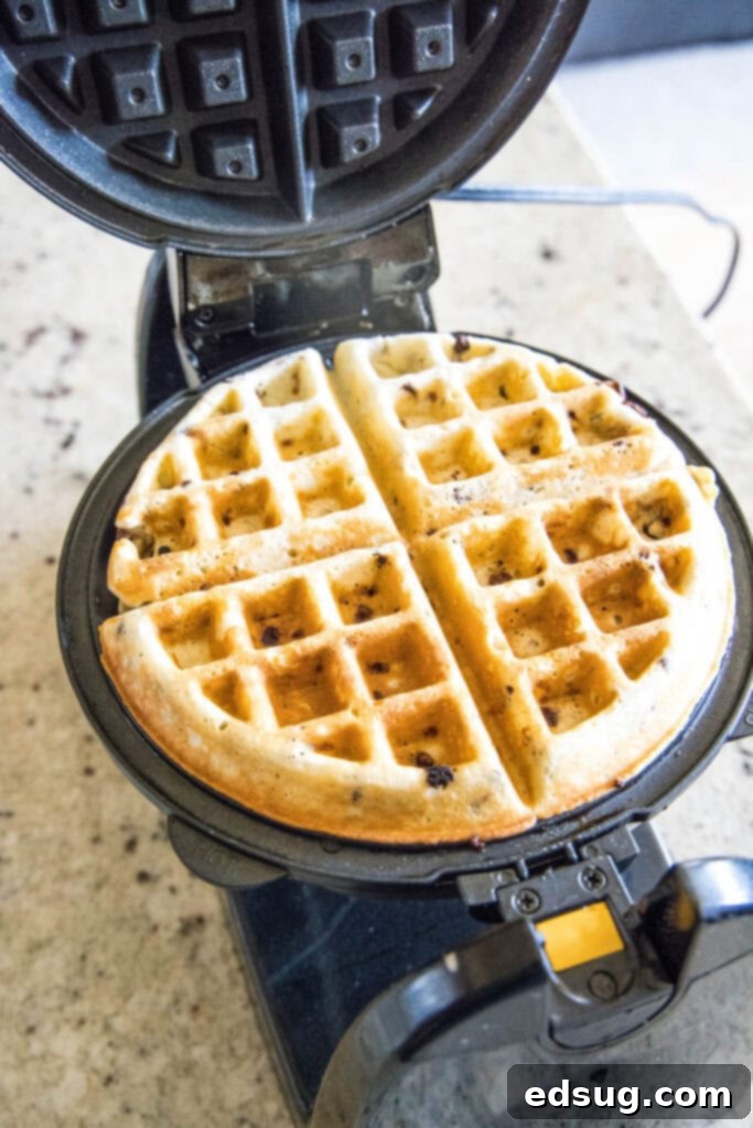 Decadent Chocolate Chip Waffles 6 cooked chocolate chip waffle on waffle iron