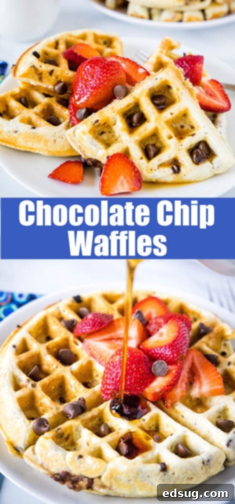 Decadent Chocolate Chip Waffles 8 close up chocolate whip waffles on a plate
