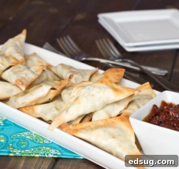 keema samosas on a plate
