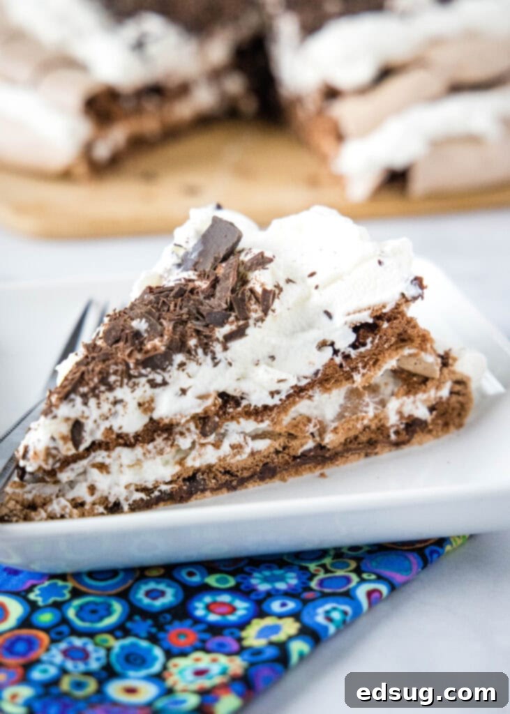 a slice of chocolate pavlova on a white plate, showcasing its layers of meringue and whipped cream