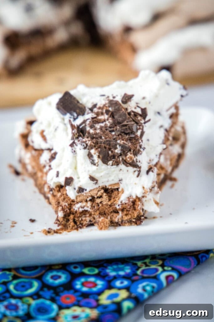 chocolate meringue cake with a bite missing on a white plate