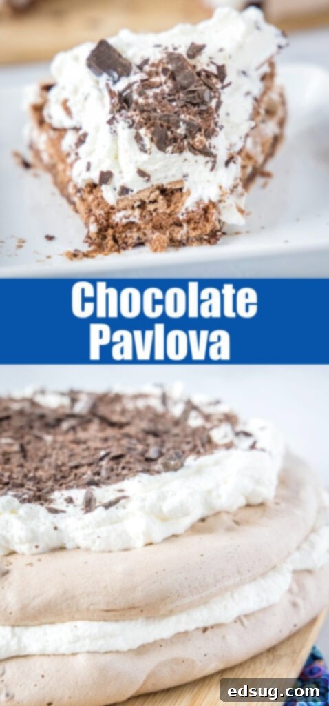 close up of chocolate pavlova for pinterest