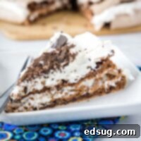 close up slice of chocolate meringue cake