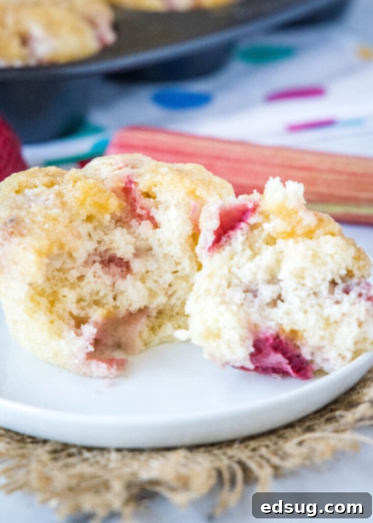 Delightful Strawberry Rhubarb Muffins 2 muffin broken in half on white plate showcasing the fruit pieces