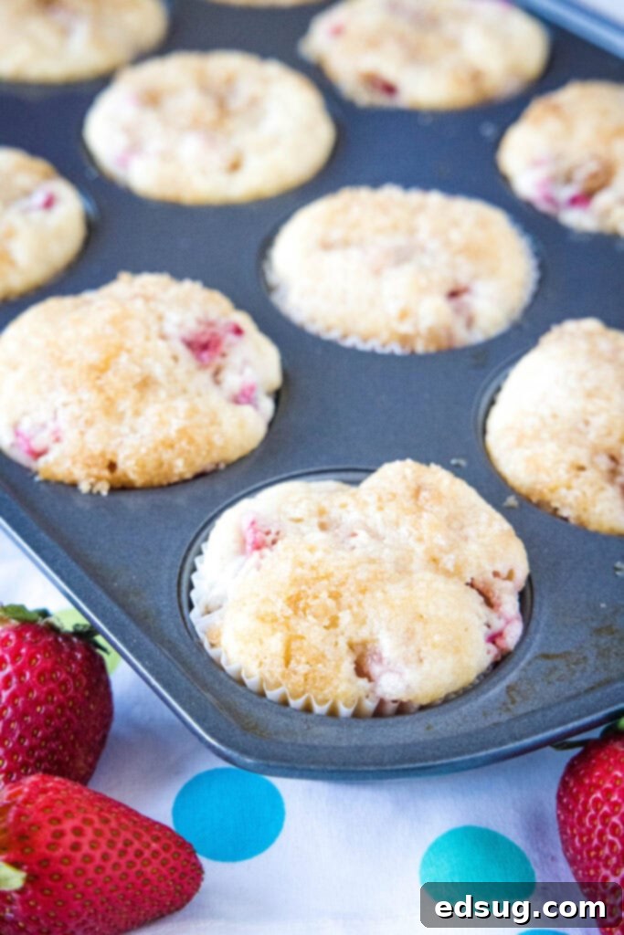 Delightful Strawberry Rhubarb Muffins 5 strawberry rhubarb muffins cooling in a muffin tin