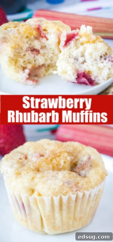 Delightful Strawberry Rhubarb Muffins 6 close up of a single strawberry rhubarb muffin on a white plate
