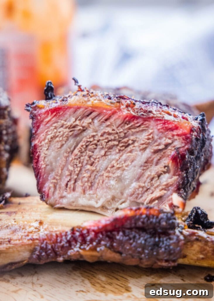 Pitmaster's Smoked Beef Short Ribs 2 beef short rib cut with bite taken out