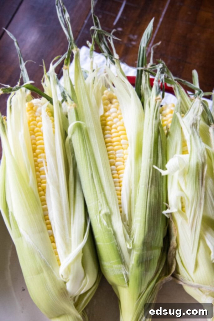 Fresh corn with husks peeled back and silks removed, ready for soaking.