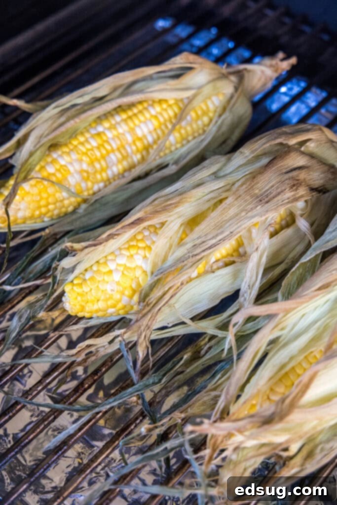Smoked corn on the cob cooking on the grates of a smoker, husks peeled back slightly.