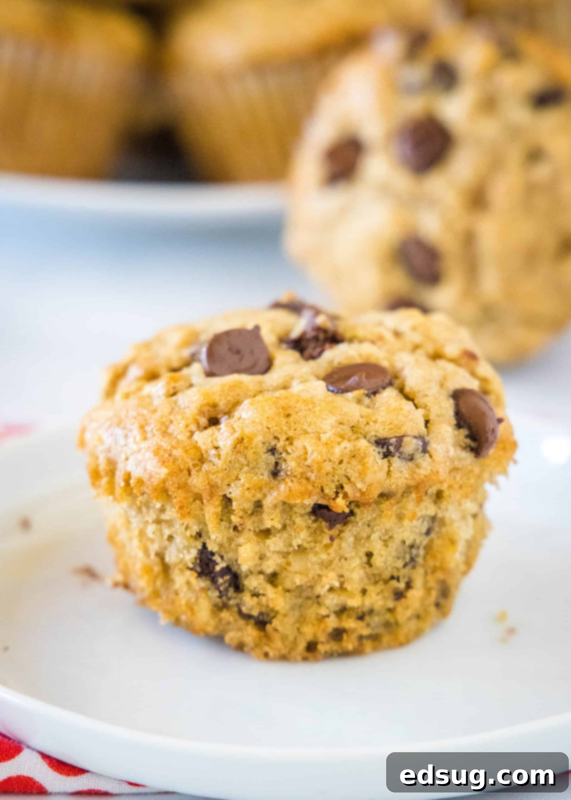An oatmeal chocolate chip muffin on a white plate with more muffins in the background.