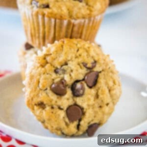 Two oatmeal chocolate chip muffins stacked on a white plate, with a third muffin on its side in the foreground.