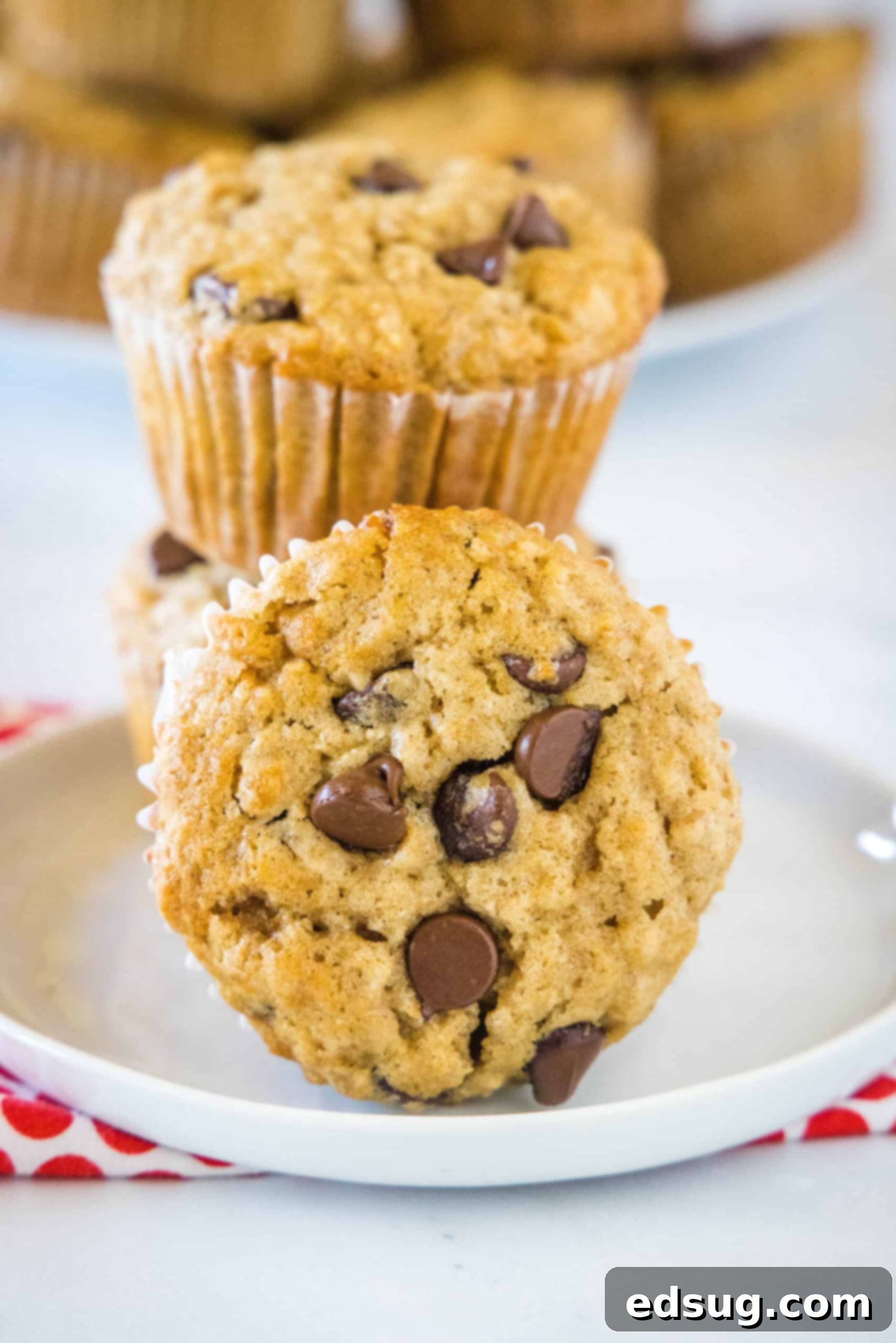 Two oatmeal chocolate chip muffins stacked on a white plate, with a third muffin on its side in the foreground.