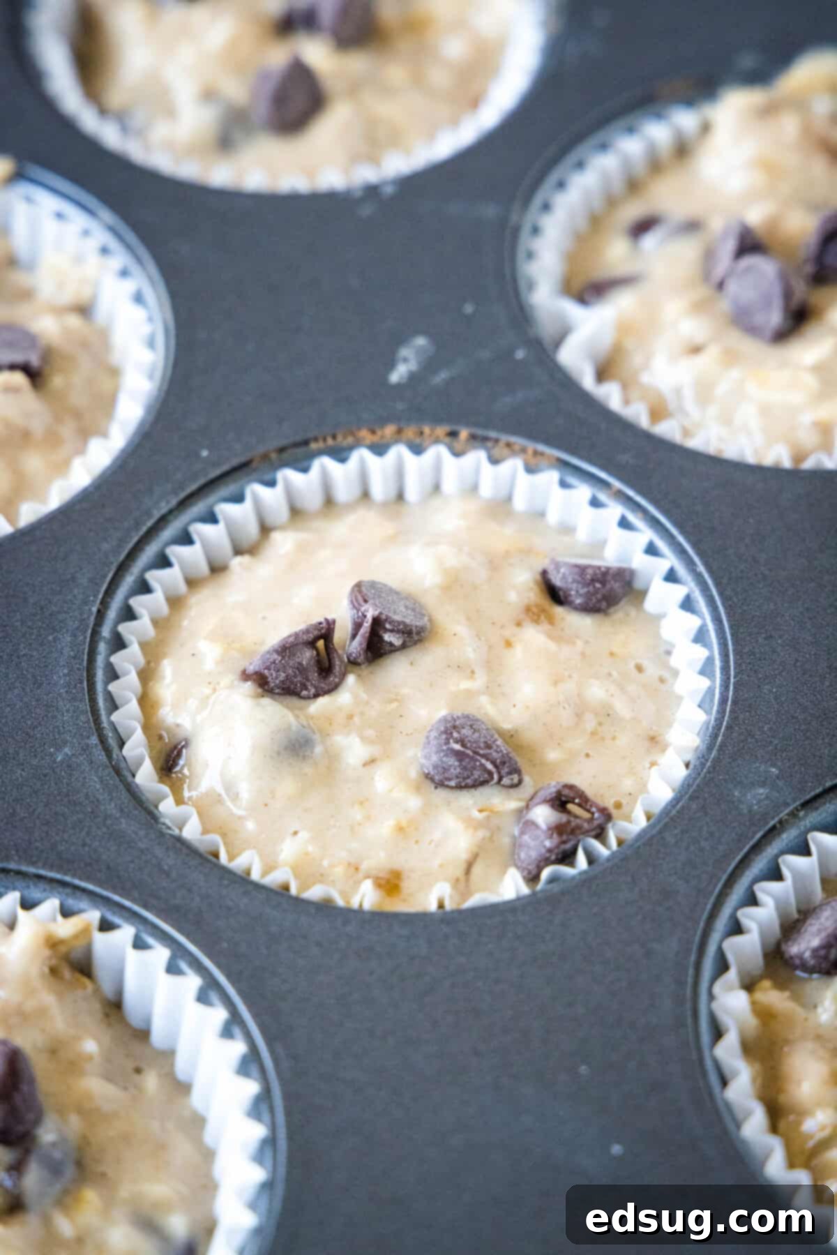 Close up of a lined muffin tin filled with oatmeal chocolate chip muffin batter.