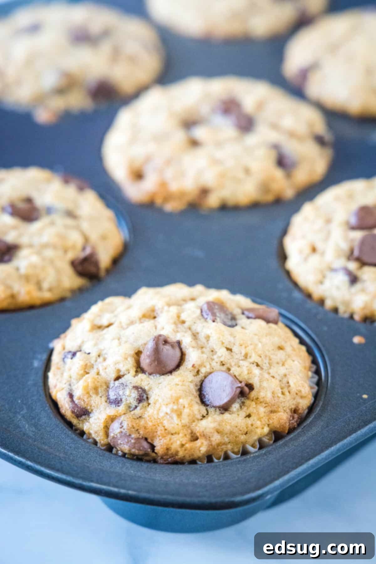 Baked oatmeal chocolate chip muffins in a metal muffin pan.