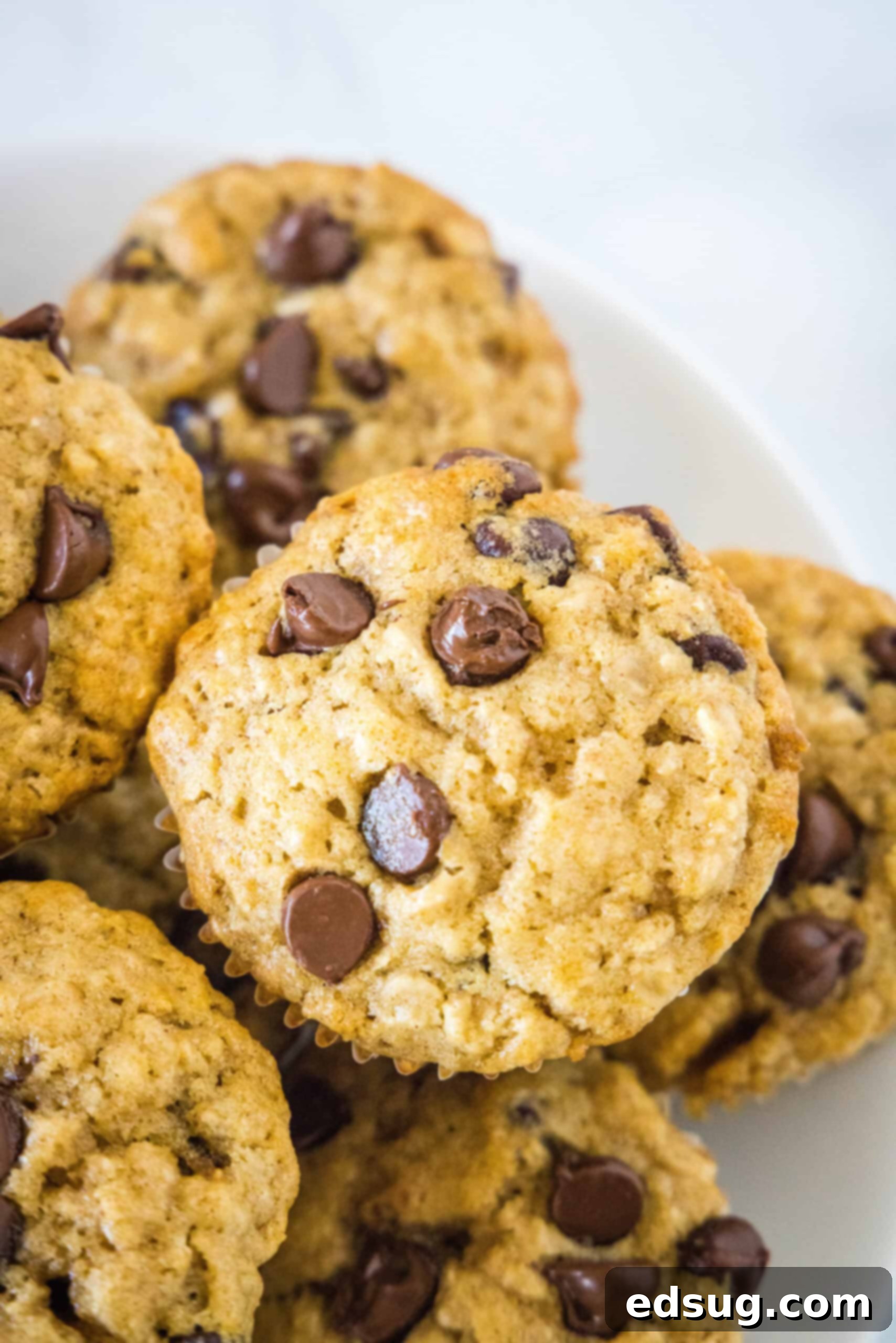 Close up of oatmeal chocolate chip muffins piled on a plate.