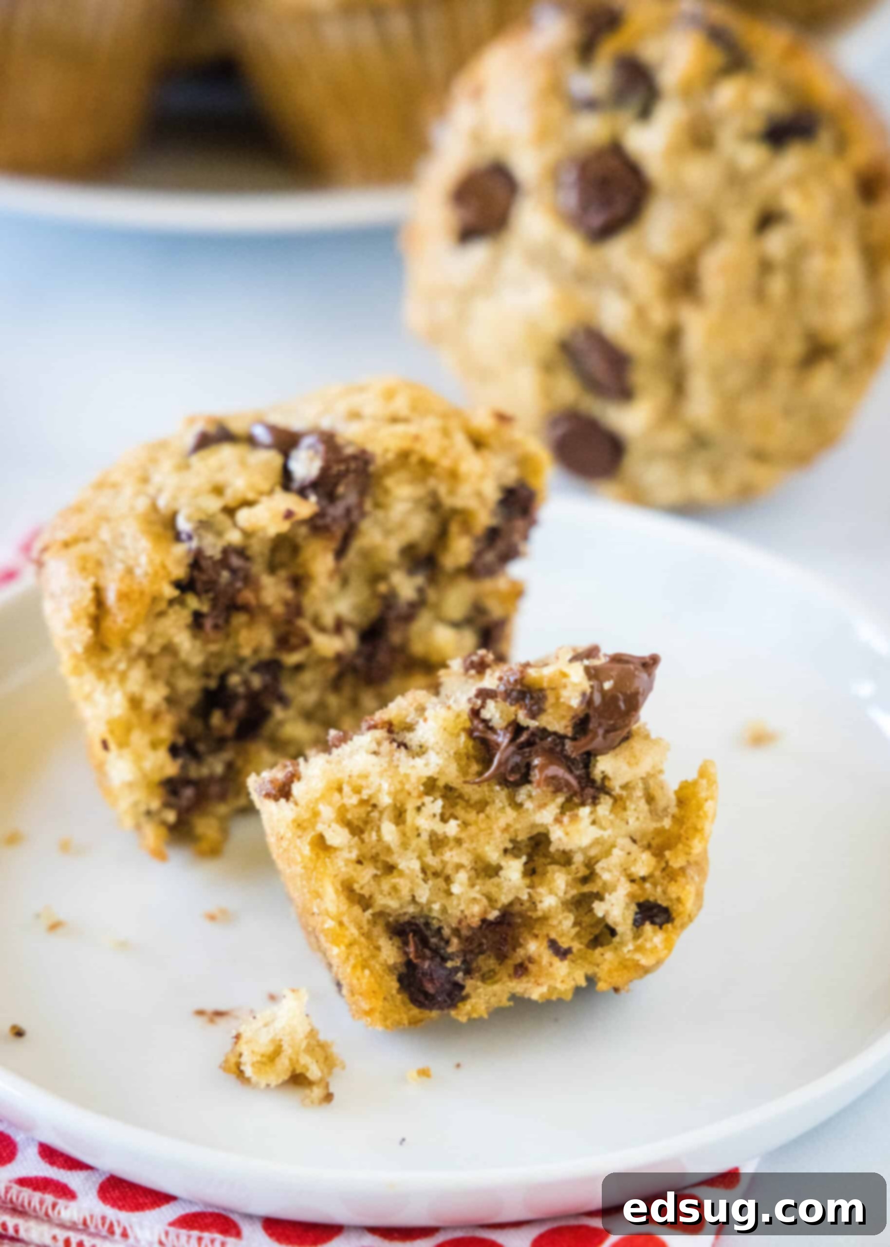 An oatmeal chocolate chip muffin broken in half on a white plate with more muffins in the background.