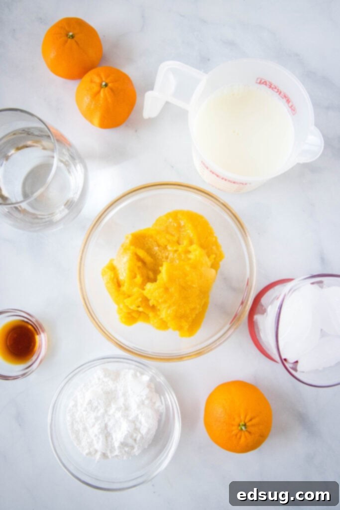 Homemade Orange Julius Perfection 3 ingredients to make orange julius