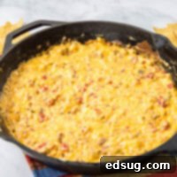 Creamy Smoked Queso Dip 6 close up hot cheese dip