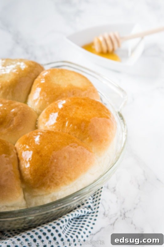 Golden Honey Butter Dinner Rolls 4 A close-up shot of baked dinner rolls in a baking tray, glistening with a brush of butter.
