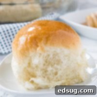 A dinner roll on a plate