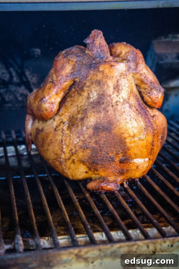 The Ultimate Smoked Beer Can Chicken 2 cooked whole chicken on the smoker