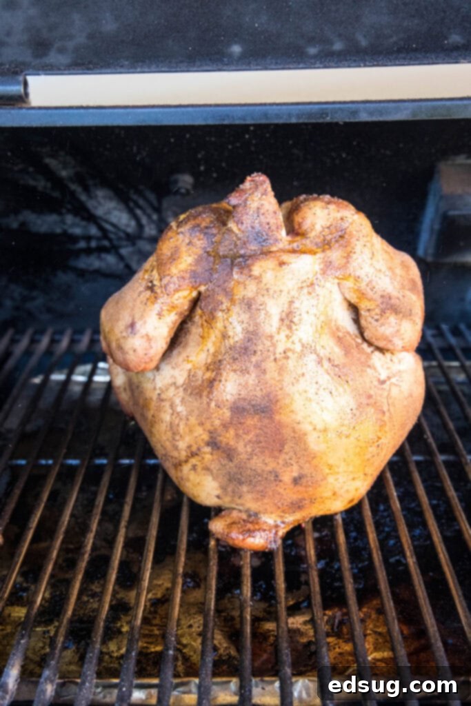The Ultimate Smoked Beer Can Chicken 4 putting seasoned chicken on the smoker