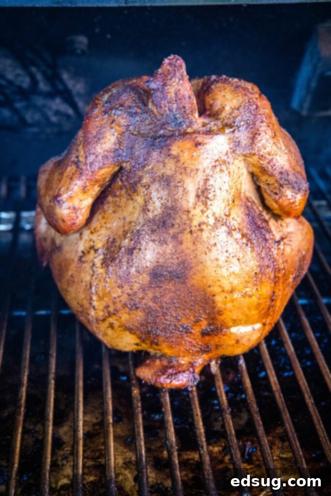 The Ultimate Smoked Beer Can Chicken 5 beer can chicken on the smoker