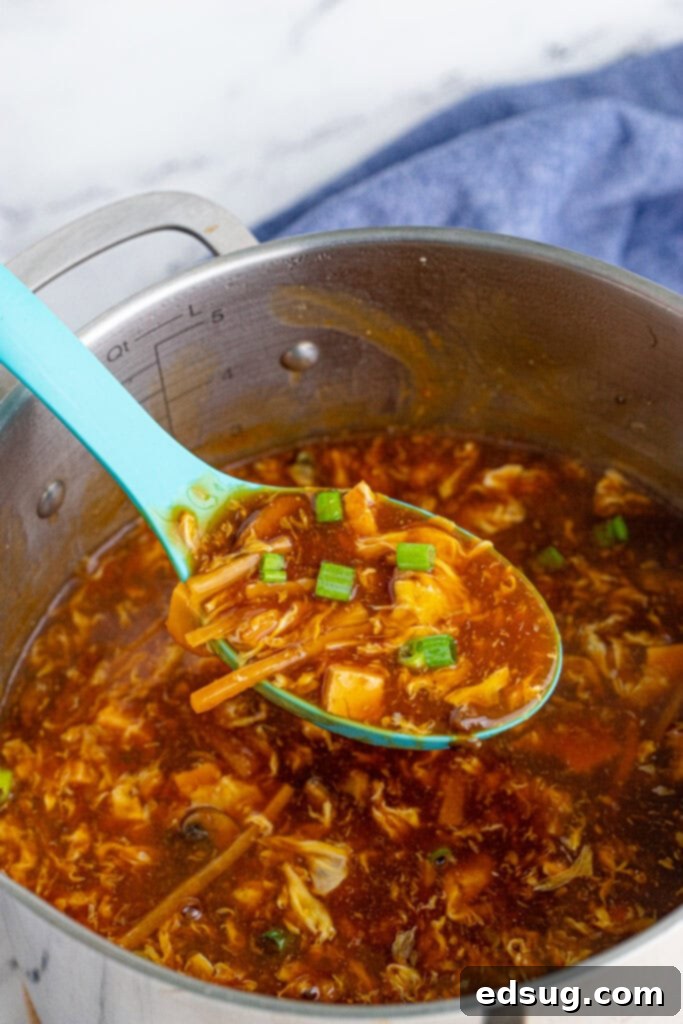 A large pot of hot and sour soup simmering on the stove with a ladle, showcasing the rich broth and various ingredients.