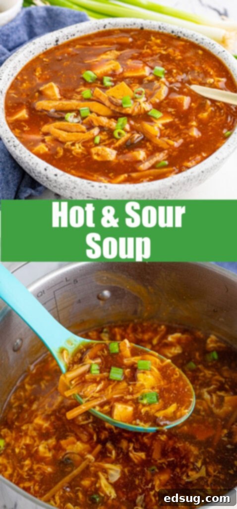 A close-up of the delicious Hot and Sour Soup, highlighting the textures of tofu, mushrooms, and egg ribbons.