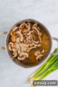 mushrooms i pot for soup