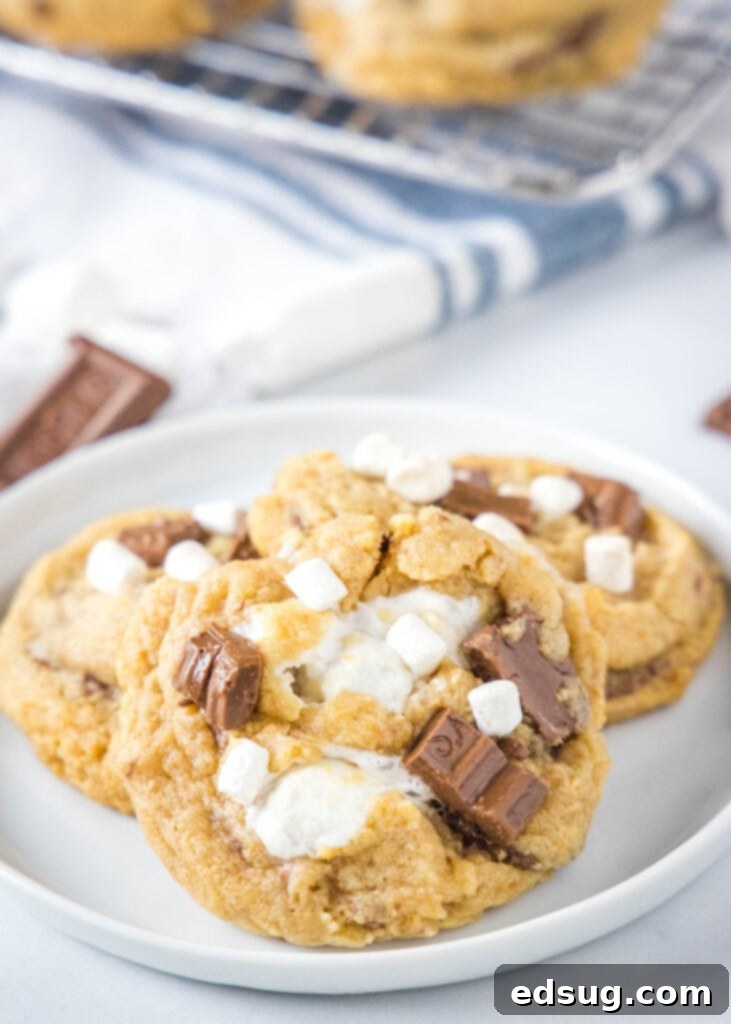 Smores Cookies 2 A plate featuring three perfectly baked S'mores cookies, showcasing their golden edges and melted chocolate and marshmallow centers.