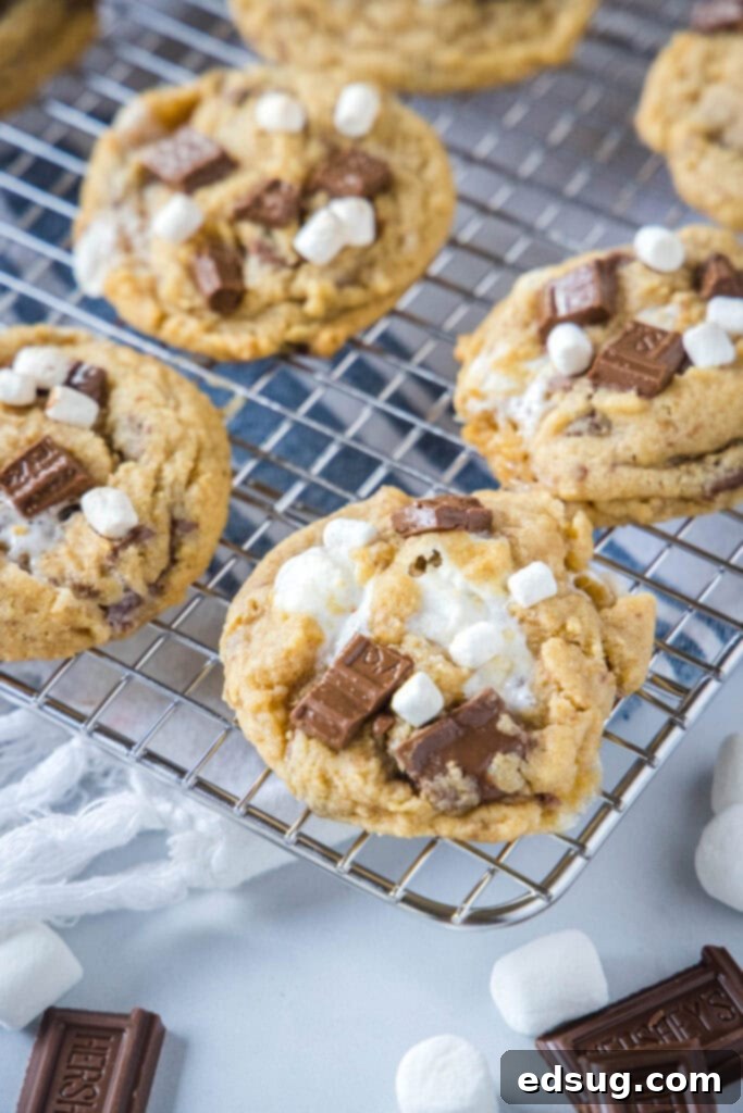 Smores Cookies 3 A cooling rack filled with freshly baked s'mores cookies, some showing melted marshmallow and chocolate peaks.