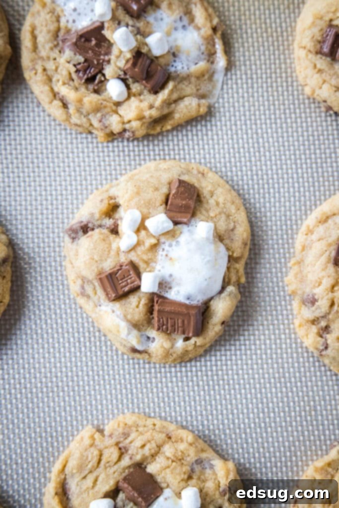 Smores Cookies 4 An overhead view of a baking sheet featuring several baked s'mores cookies with perfectly melted toppings.