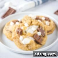 Smores Cookies 7 close up s'mores cookies on a plate
