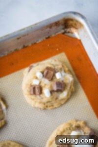 Smores Cookies 10 baked cookie on a cookie sheet