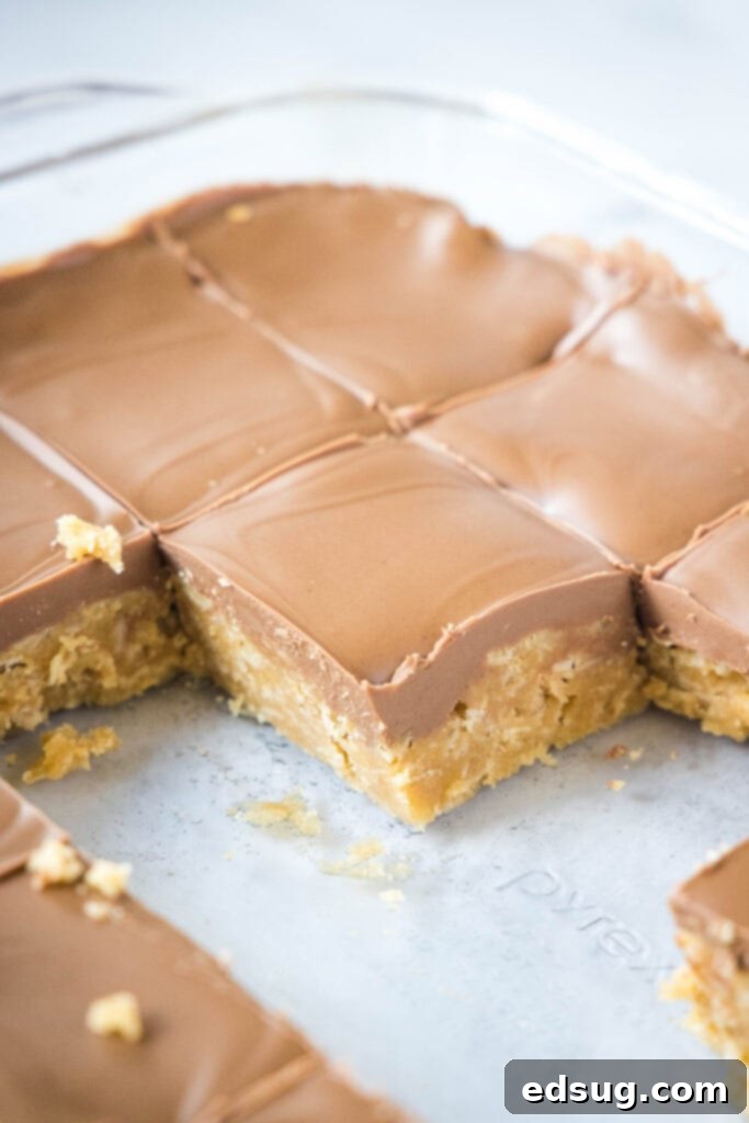 Chewy Peanut Butter Oat Treats 4 peanut butter oatmeal bars cut into slices in baking tray