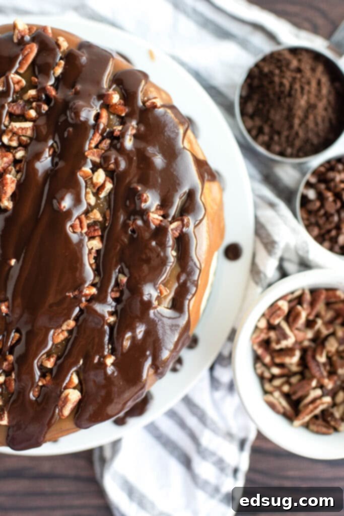 looking down on turtle cheesecake with chocolate and cadramel