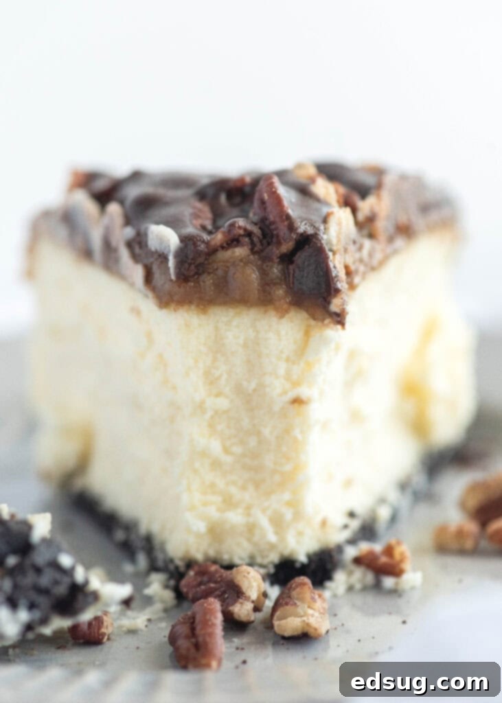 close up of creamy turtle cheesecake