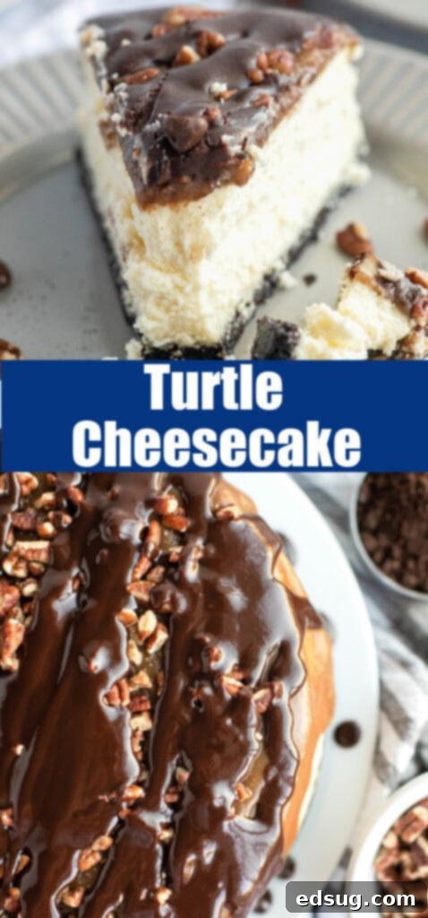 pinterest collage of slice of cheesecake and looking down on turtle cheesecake