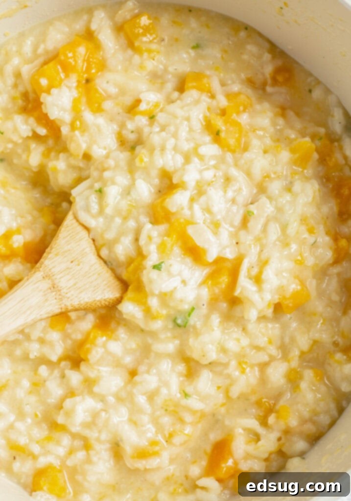 Velvety Butternut Squash Risotto 4 Butternut squash risotto cooking in a large skillet, showing its creamy texture.