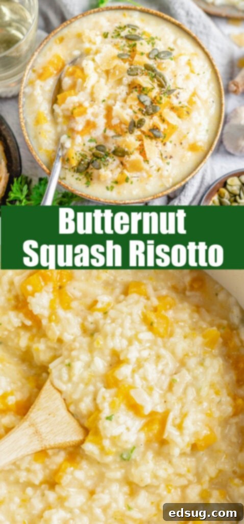 Velvety Butternut Squash Risotto 6 A collage of various butternut squash risotto images, suitable for sharing on Pinterest.