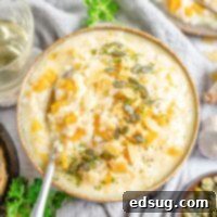 Velvety Butternut Squash Risotto 7 close up bowl of risotto with a spoon