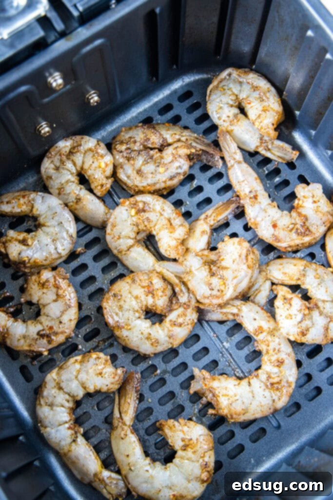 Crispy Air Fryer Shrimp 4 Seasoned raw shrimp arranged in a single layer in an air fryer basket, ready for cooking.