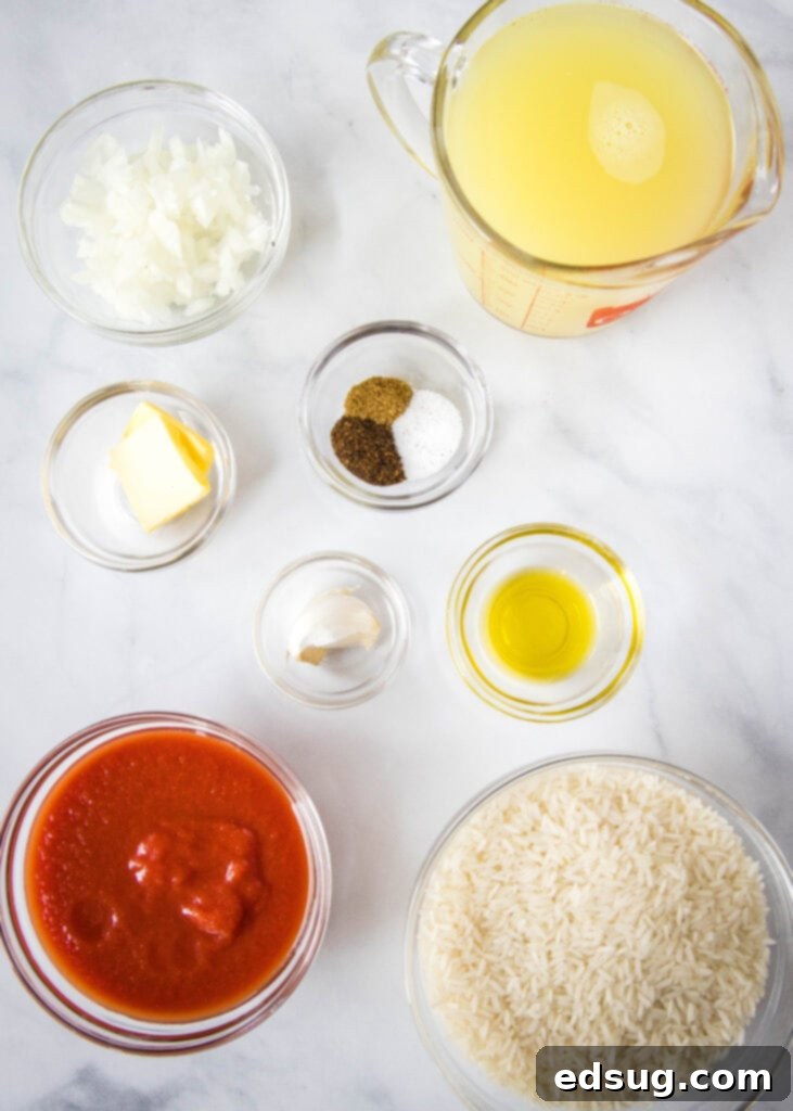 Easy Instant Pot Spanish Rice 3 ingredients for mexican rice