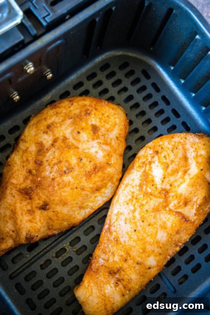 Seasoned raw chicken breasts placed in a single layer inside an air fryer basket, ready for cooking